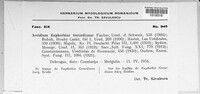 Endophyllum euphorbiae-sylvaticae image